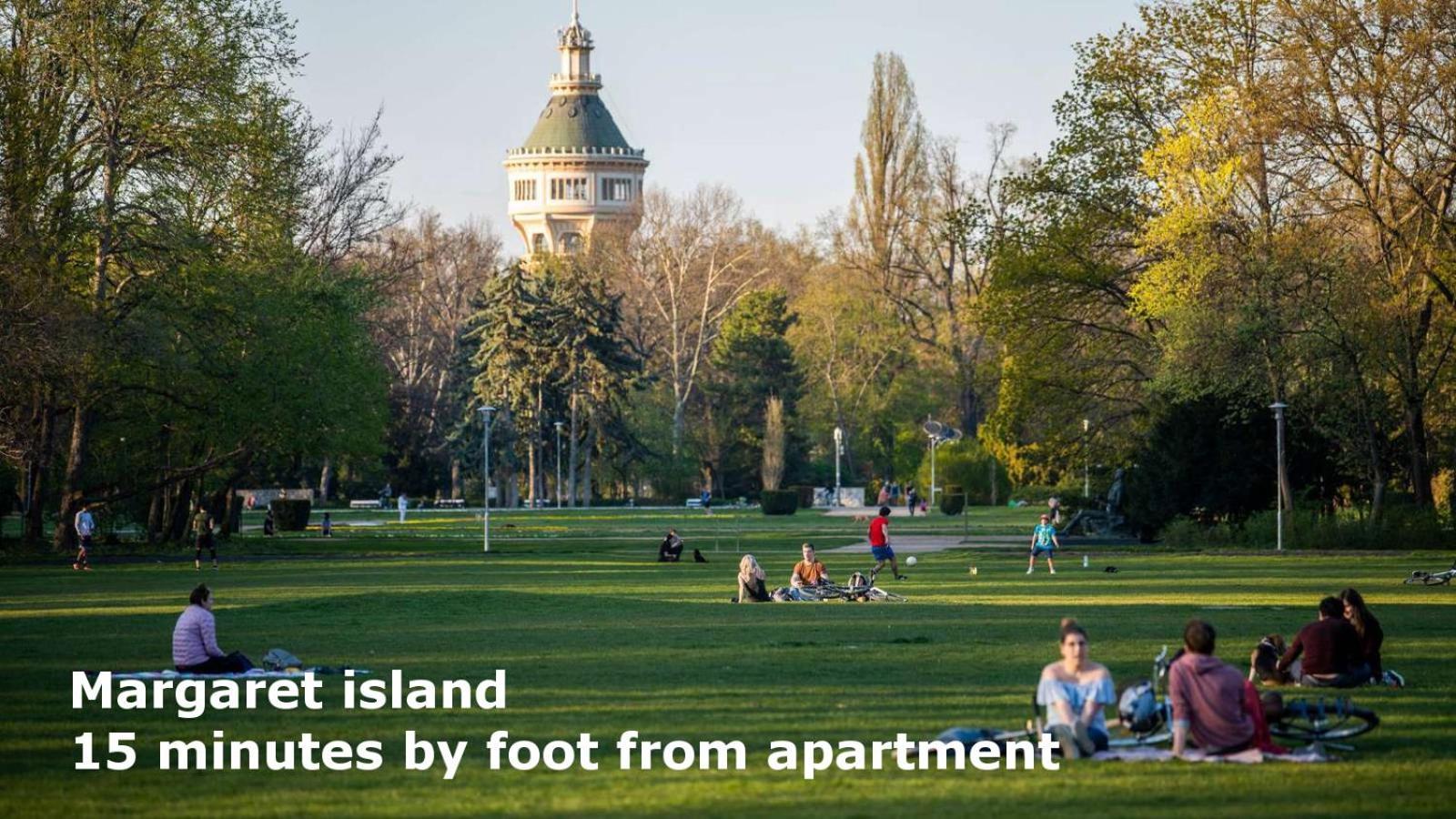 2 Rooms Between Of Chain Bridge, Cathedral, Parlament,Castle Area Appartement Budapest