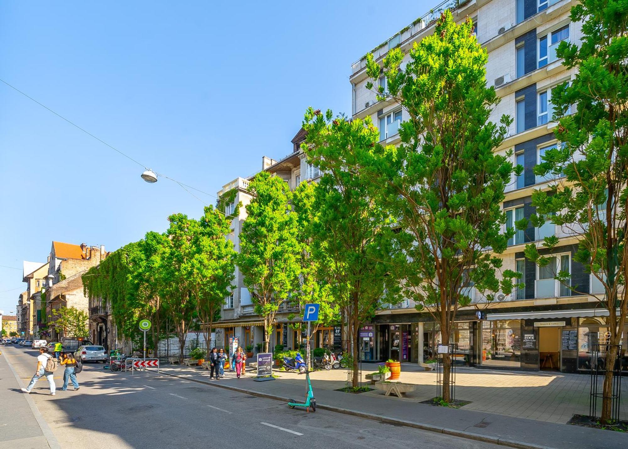 Apartment Klauzal 11-202 Center Budapest