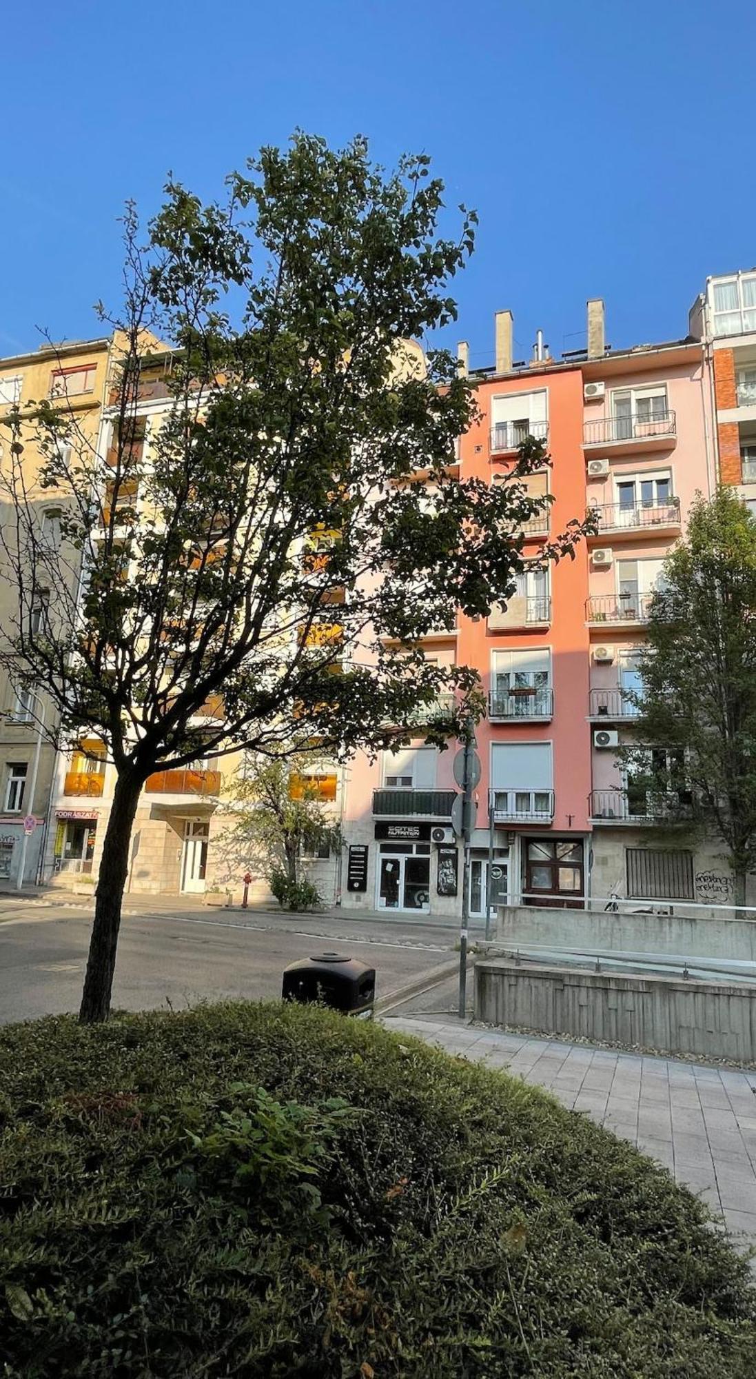 Apartment With View