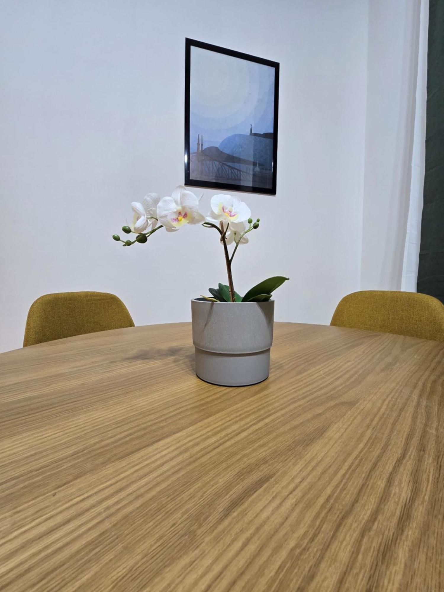 Primavera - New In The Heart Of Apartamento