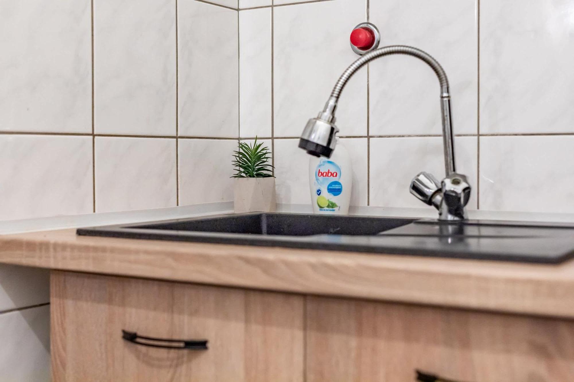 - Large And Comfy Apartamento Budapest