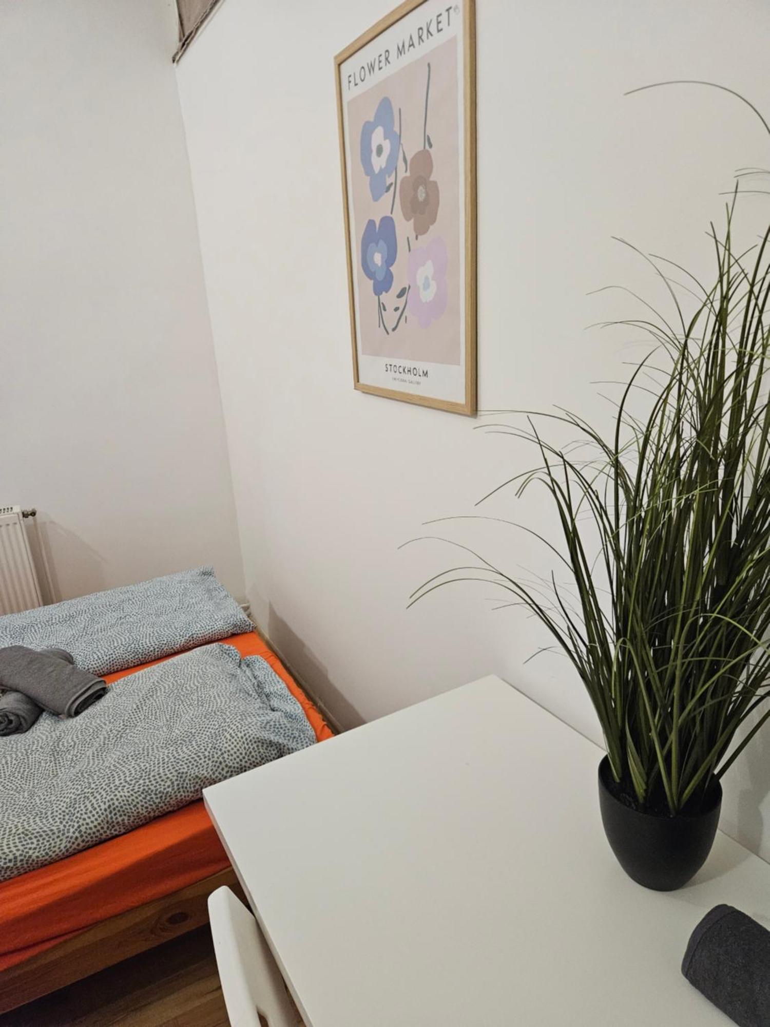 Hostal Vibrant Center