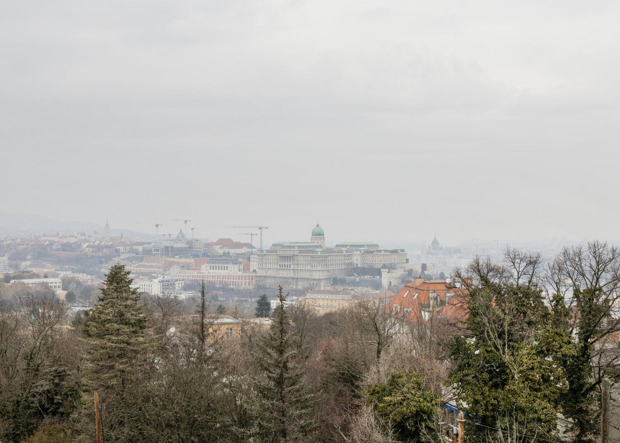 Tranquil Hideaway On Gellert Hill With Parking *