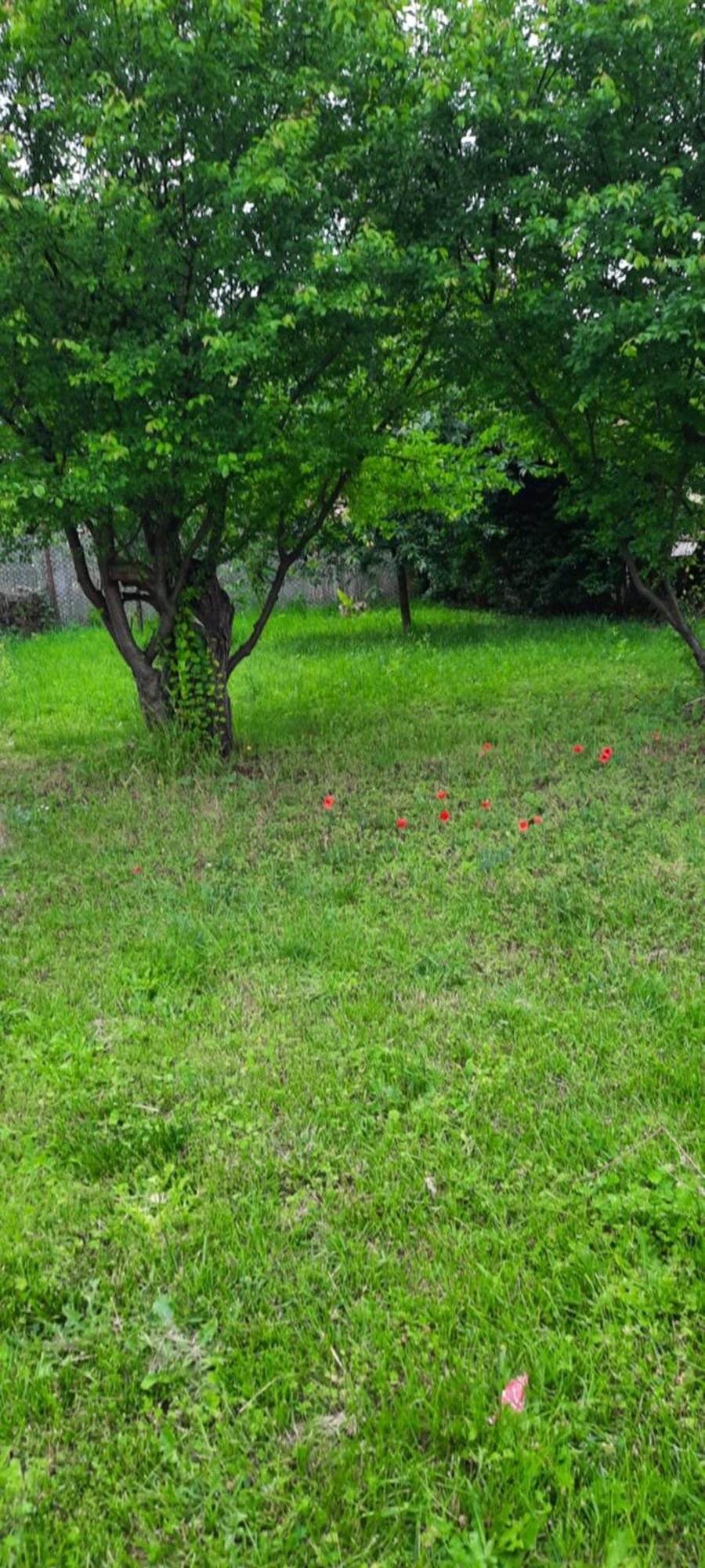 Hideaway House 01 With Garden & Yard And Free Parking Budapest