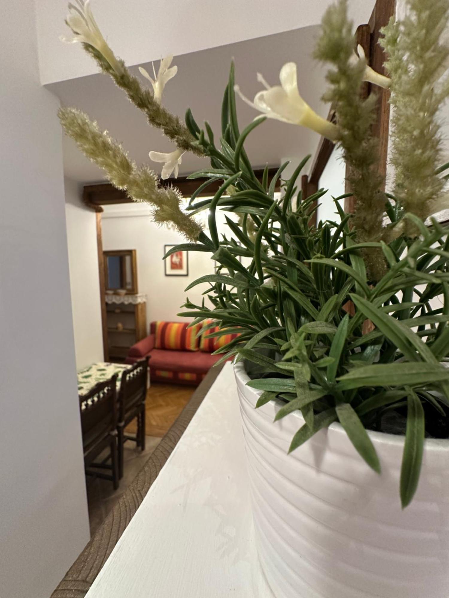 Vaci Bliss By Downtown With Free Parking Apartment Budapest