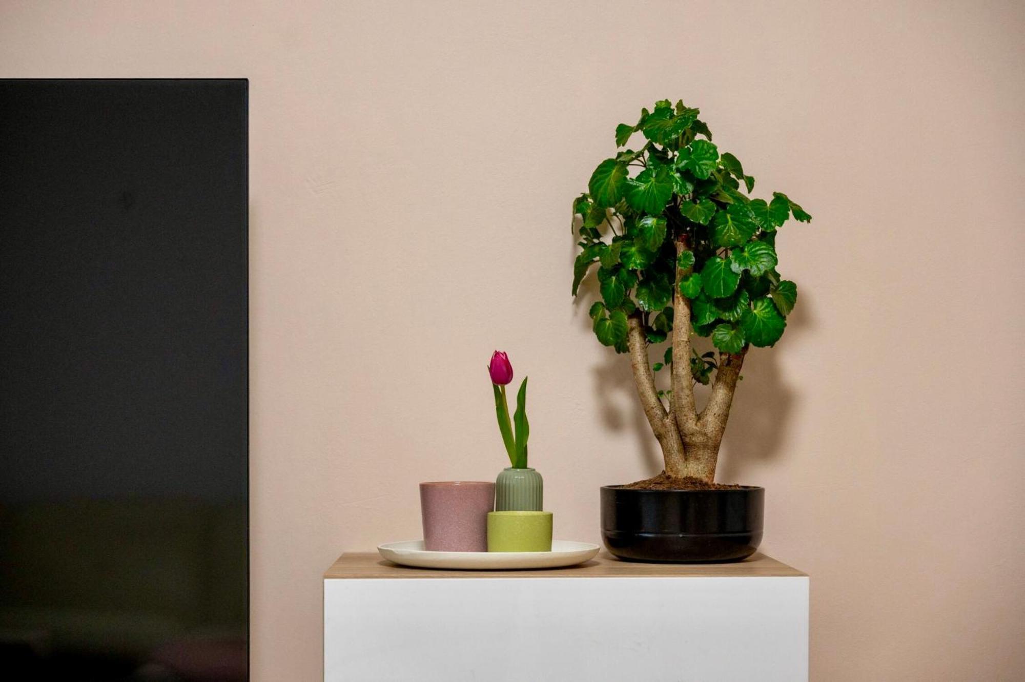 Apartment Family With Free Parking Budapest