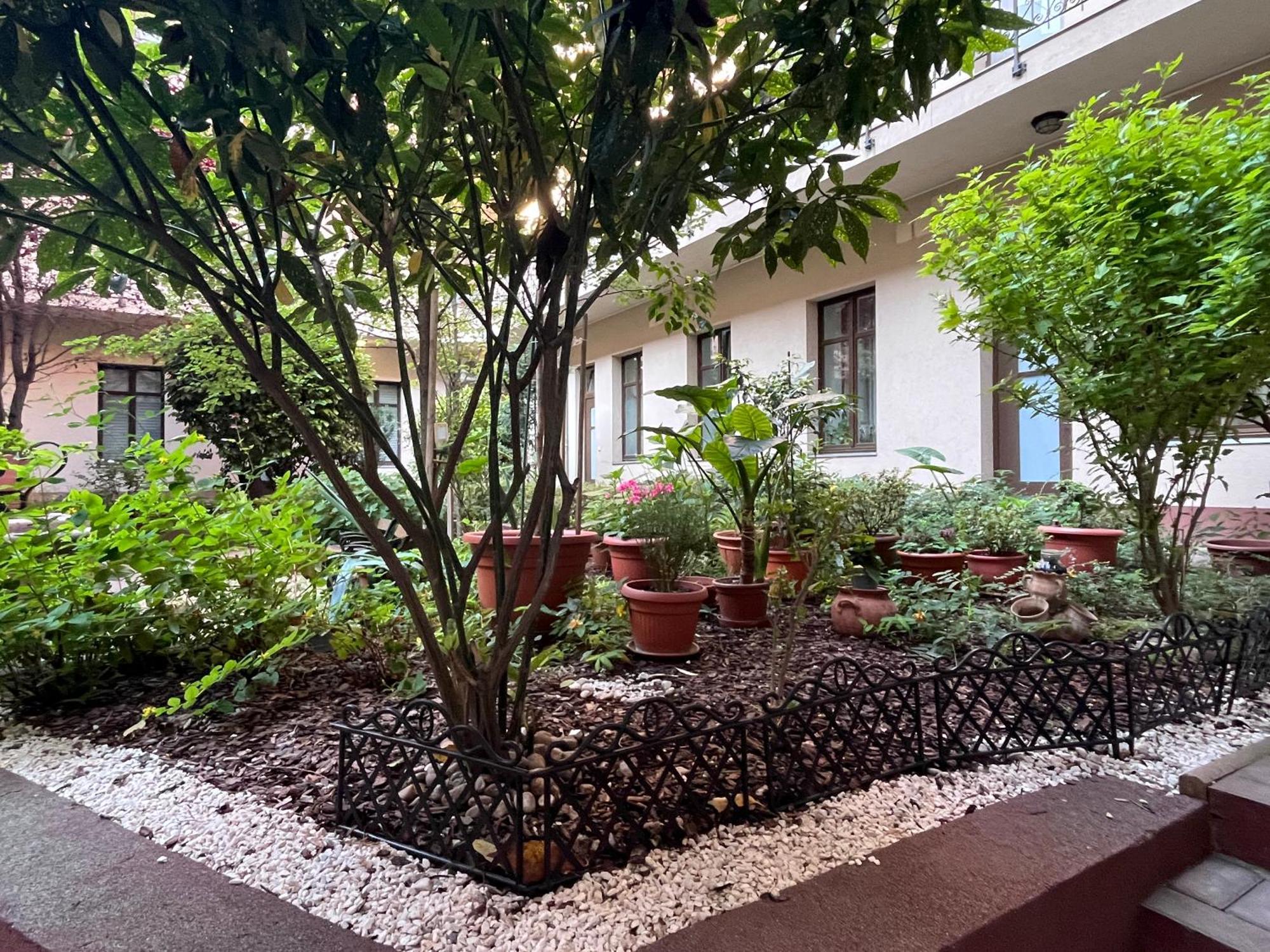 Cozy Convenient Center Apartamento *