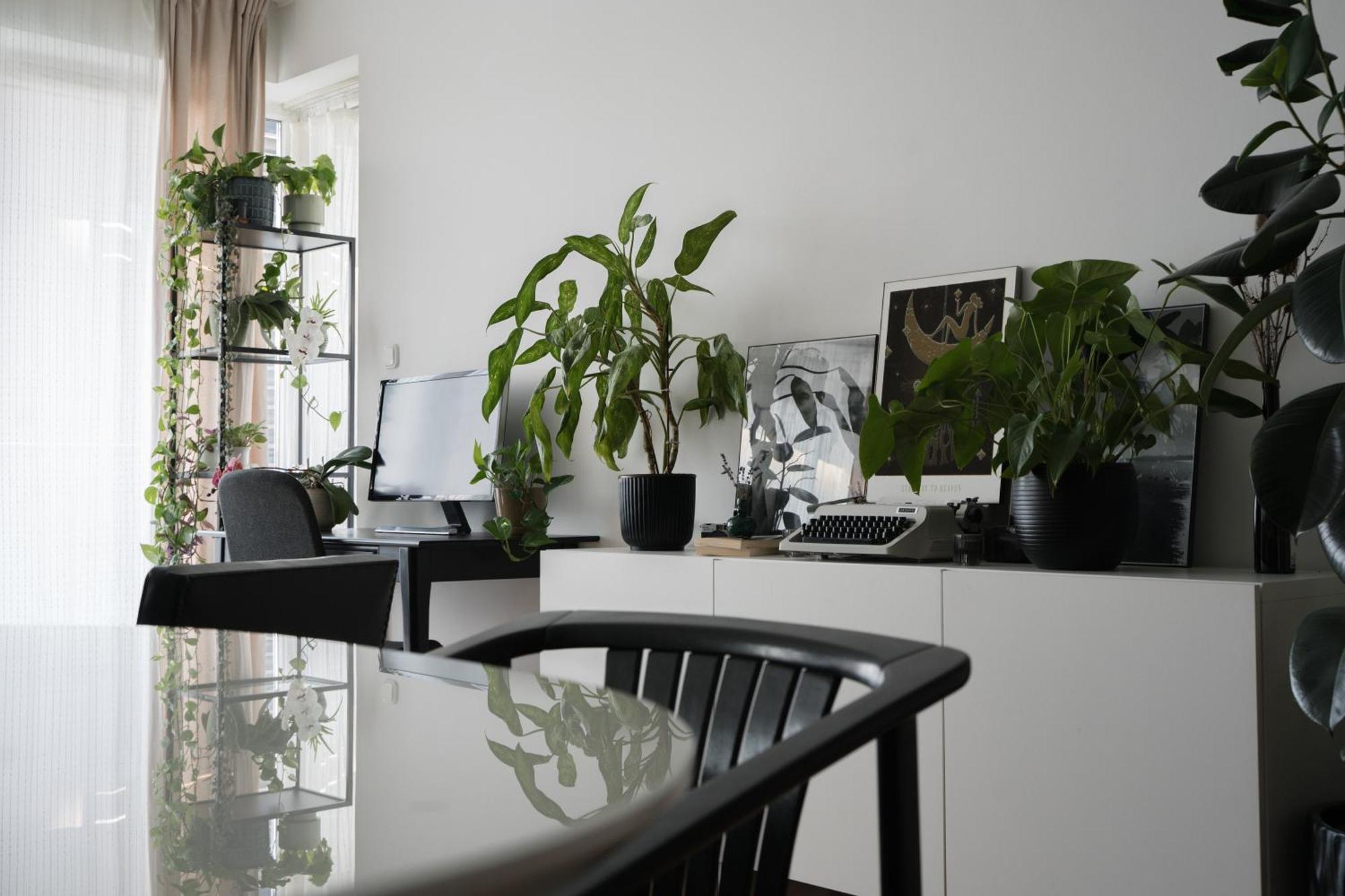 Apartamento Artist's - Urban Oasis *