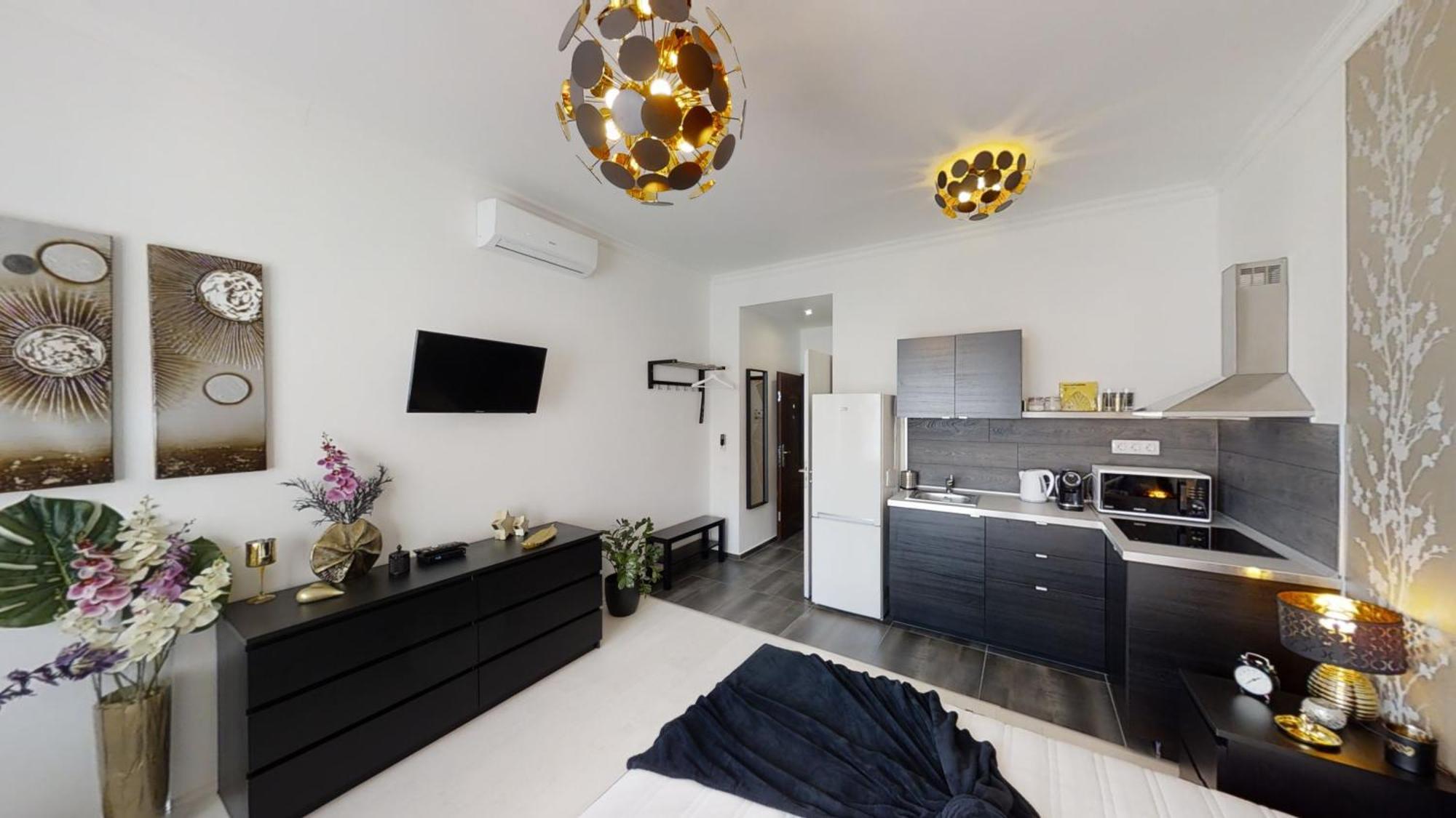 Apartmán Black Baron *