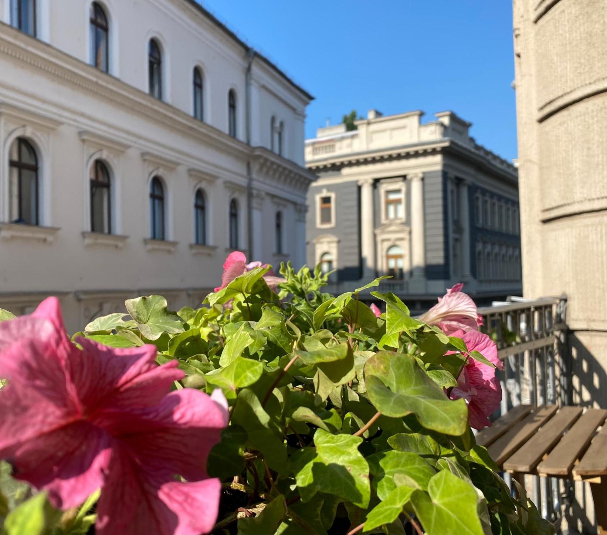 Sunny Near The Castle * Budapest