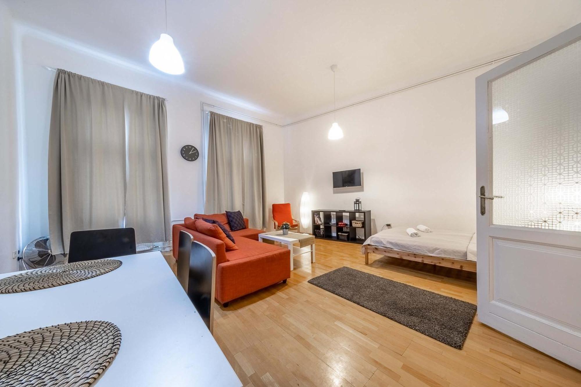 Lejlighed Ergola - Spacious Cozy 2 Big Downtown