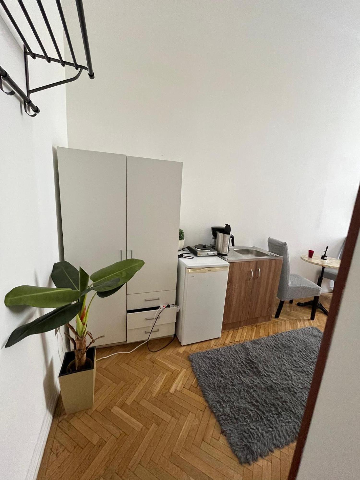 Millionrosesvintage Vaci Street Free Airconditioner And Coffee Appartement