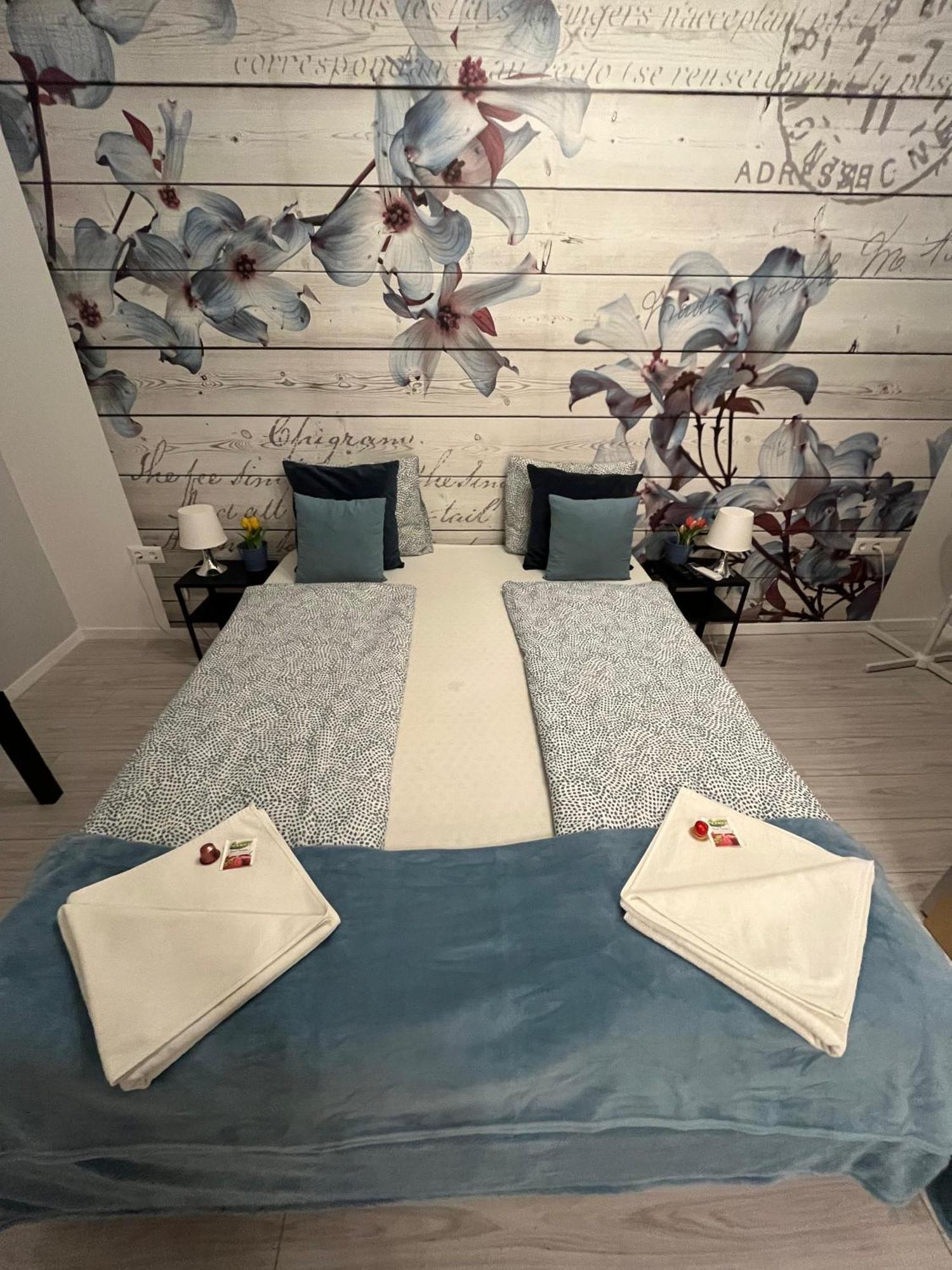 Appartement Millionrosesvintage Vaci Street Free Airconditioner And Coffee