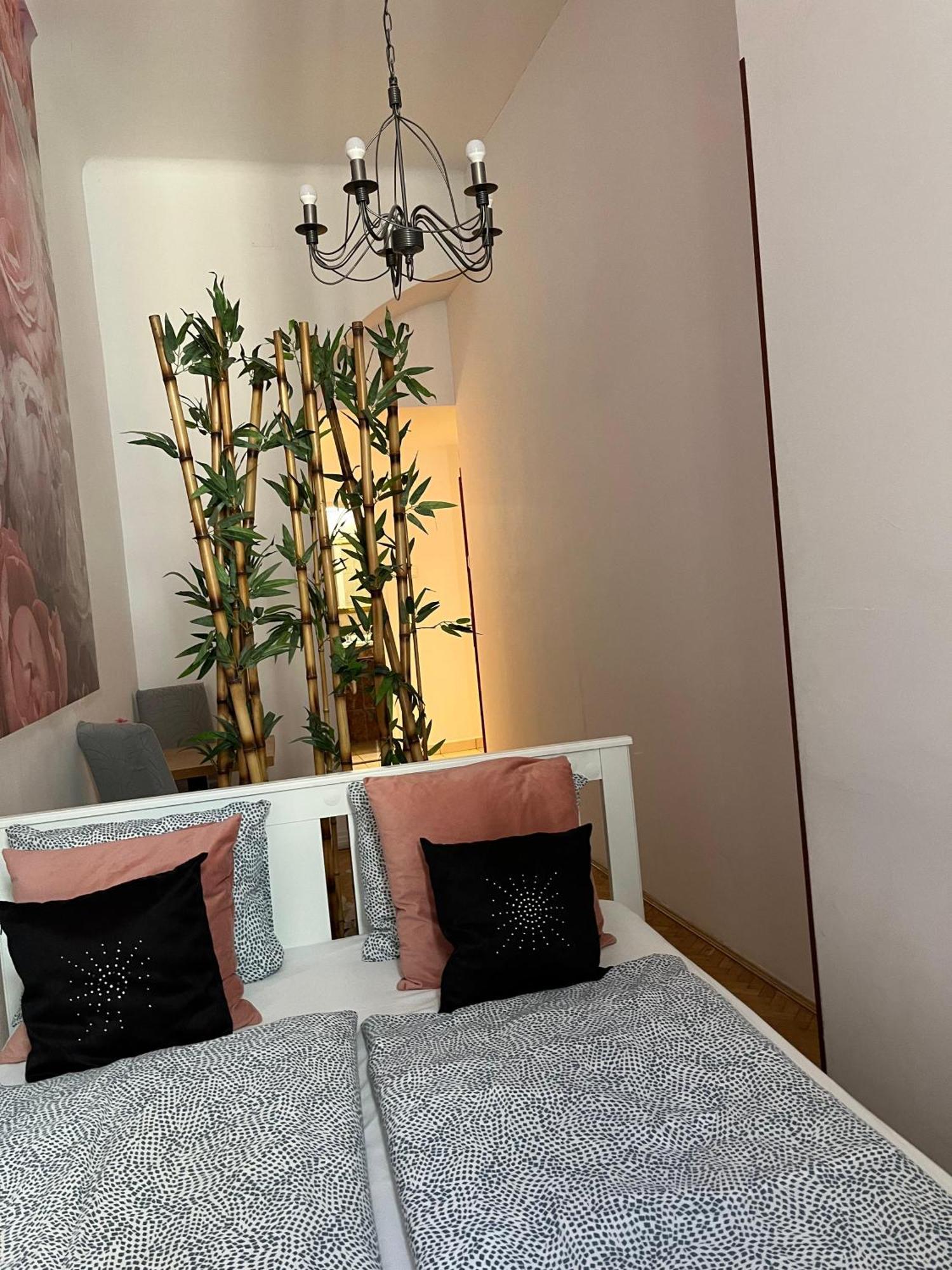 Apartment Spring Roses Downtown Boutique On The Famous Vaci Fashion Street Free Coffee, Tee Budapest