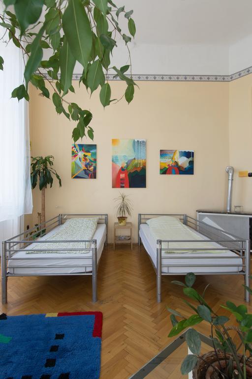 Activity Hostal