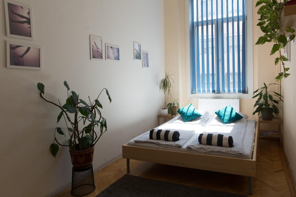 Activity Hostal