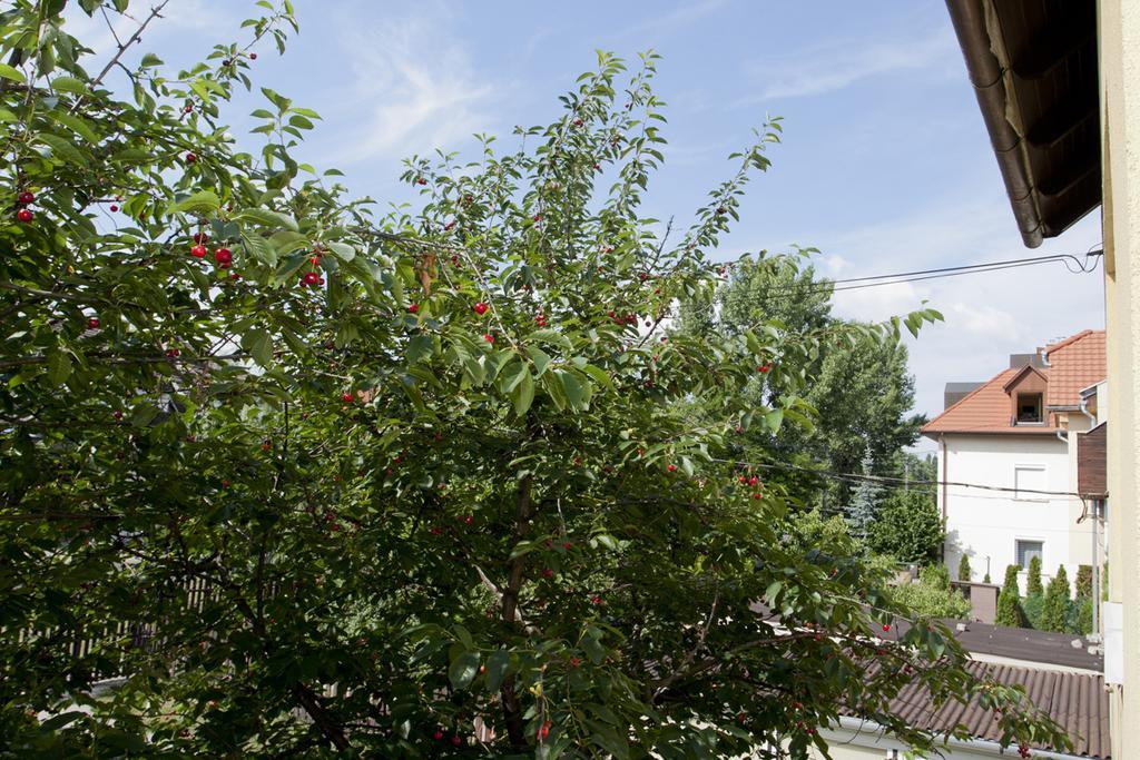 Zuglo Apartman Es