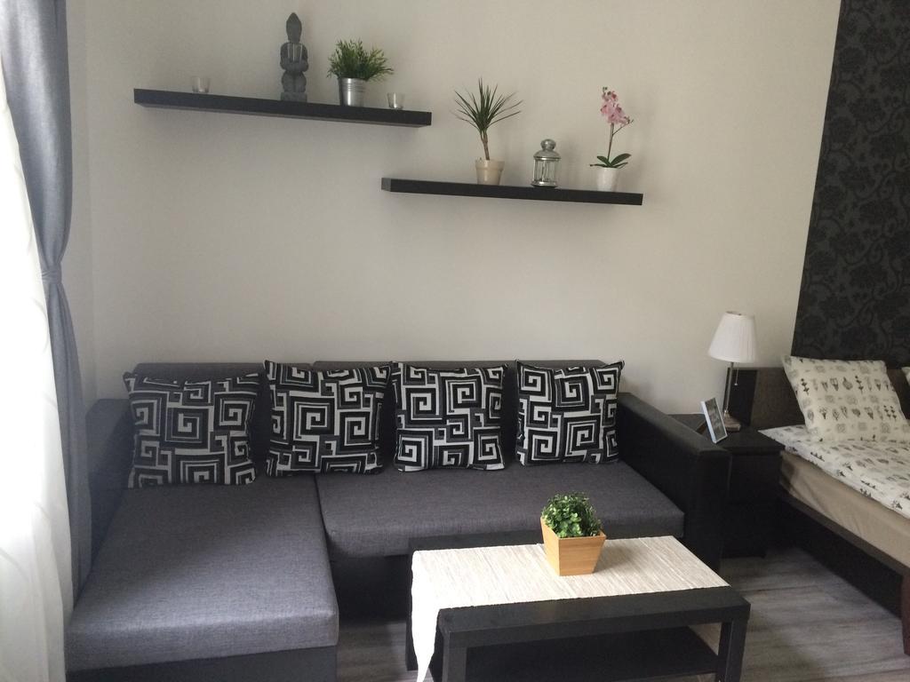 Luxury Apartment
