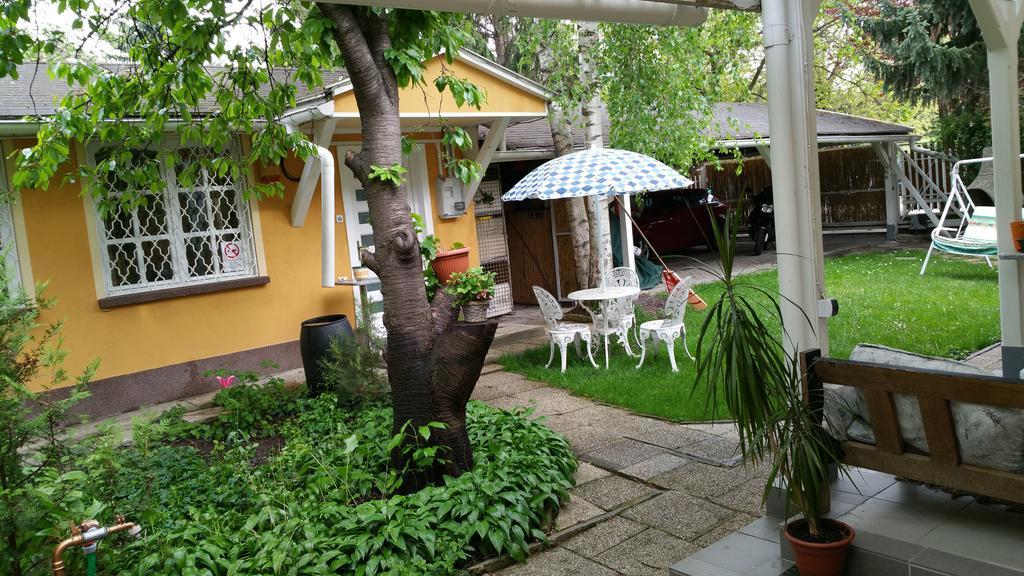 Patricia With Garden *