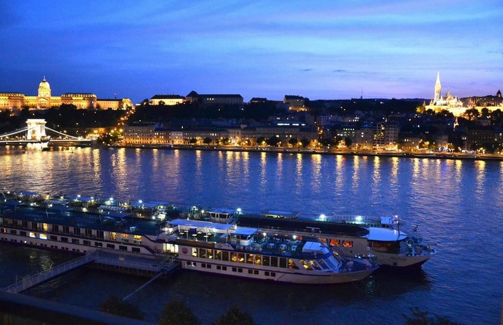 Castle And Danube Panorama Apartment