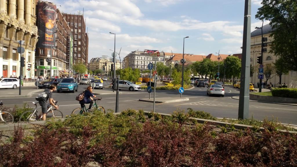 Vandrerhjem Comebackpackers