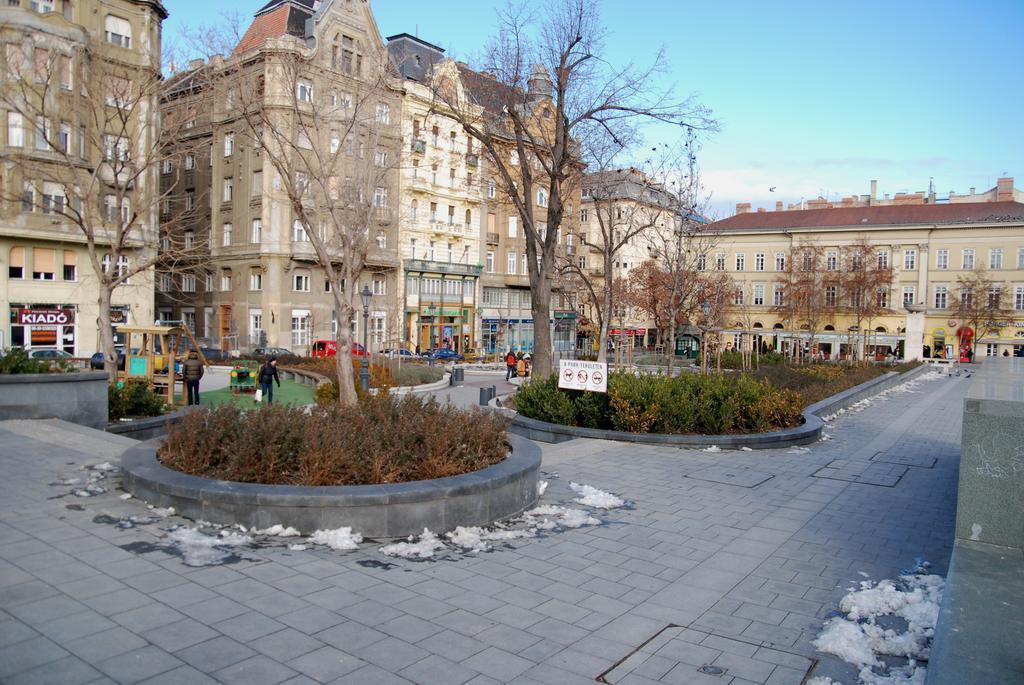 Central - Fovam