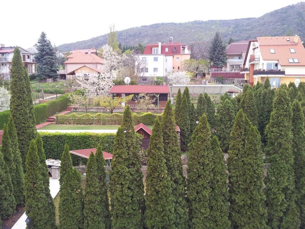Agi Panzio Obuda Bed & Breakfast