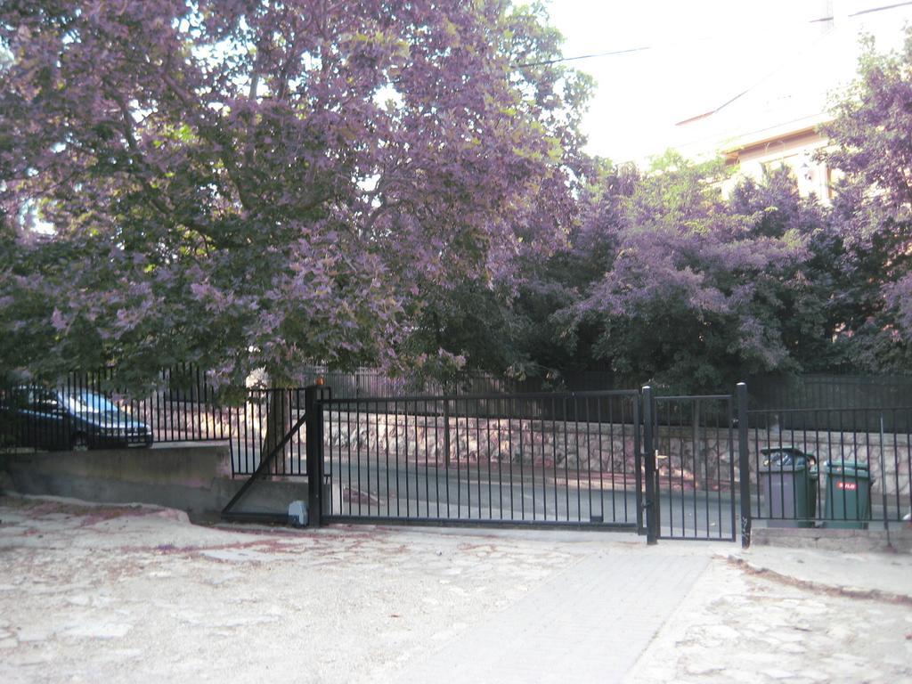 Platan Apartment