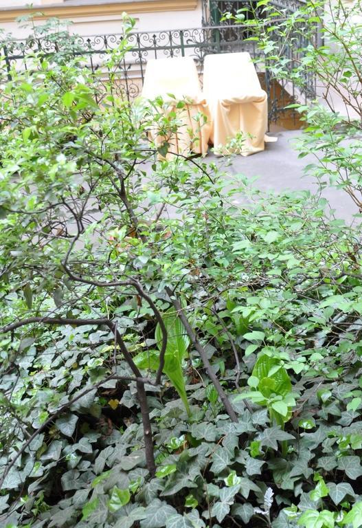 Apartment Terrace *