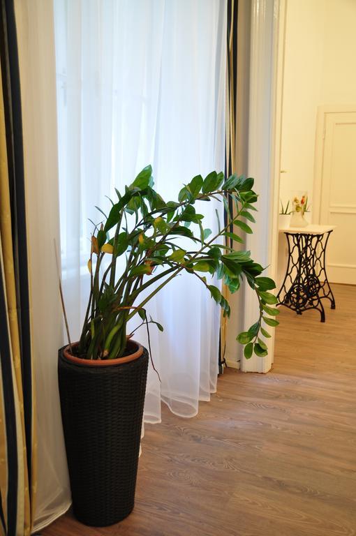 Apartment Terrace