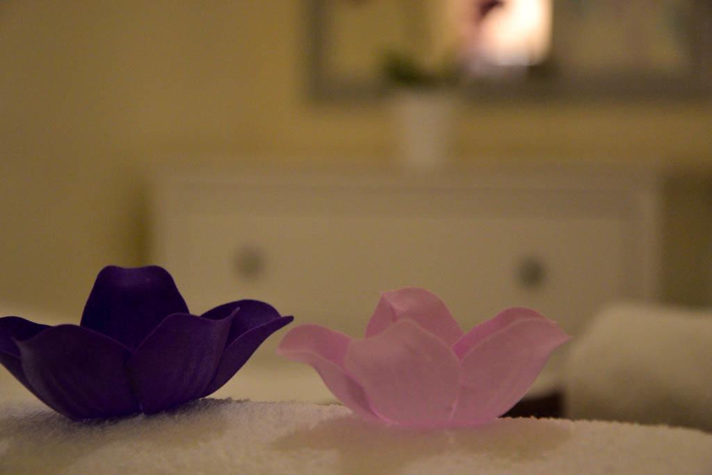 Appartamento Magnolia *