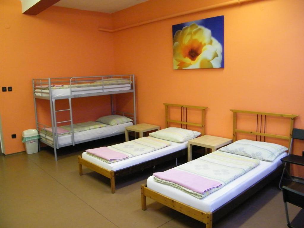 Zrinyi Auberge de jeunesse *