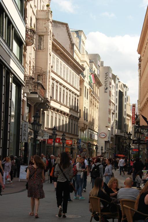 Lejlighed Duna Szecsi Budapest