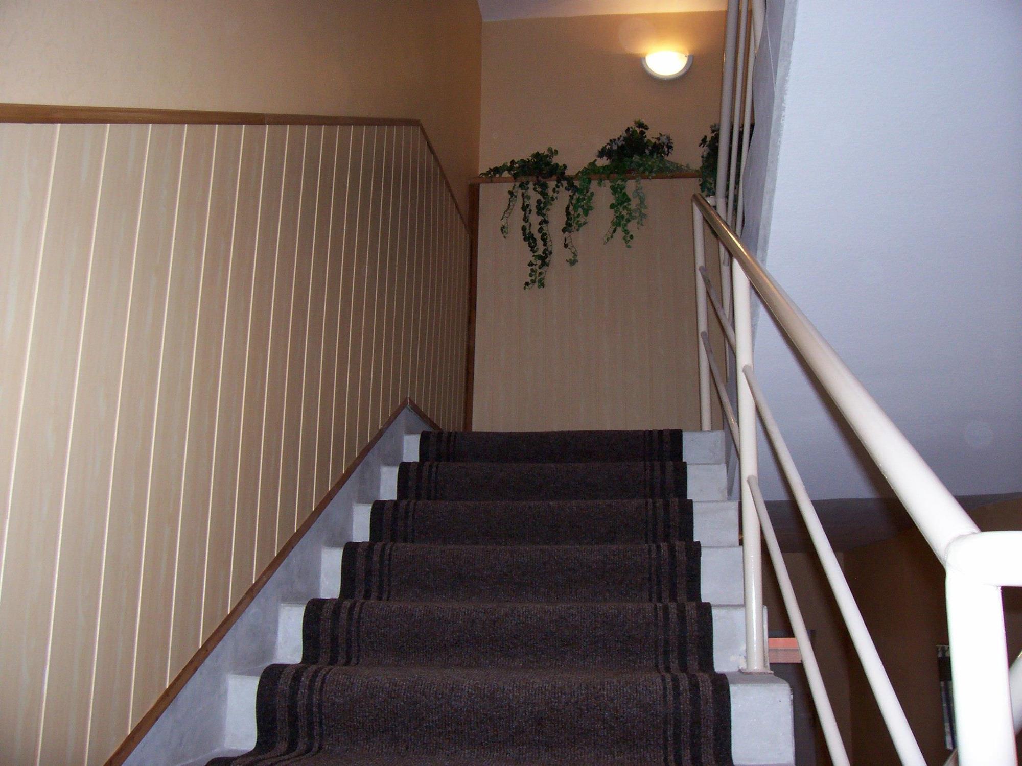 Hotel Timon 3*
