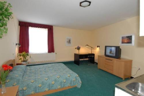 Professor'S Guest House *
