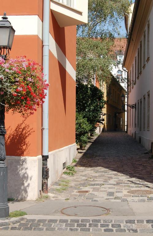 Buda Castle *