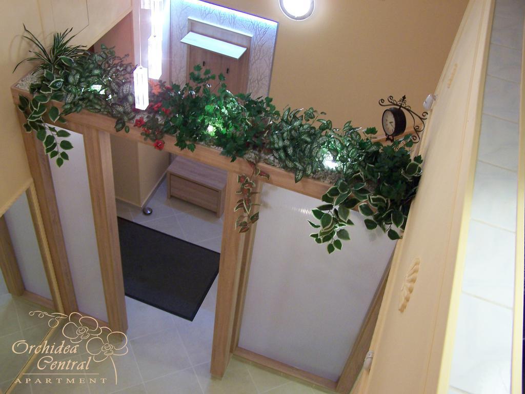 Orchidea Apartamento *