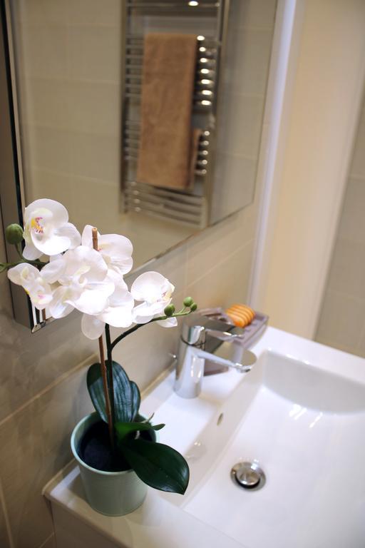 Spacious Evergreen In The Heart Of Apartamento