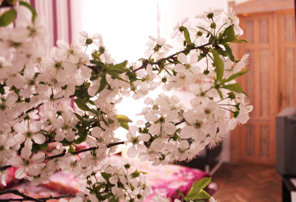 Johara Apartman Appartement *