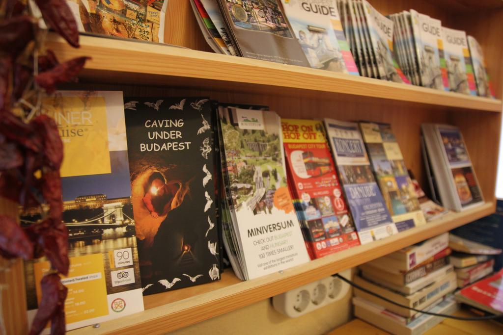 Centrum Cozy Hostel *