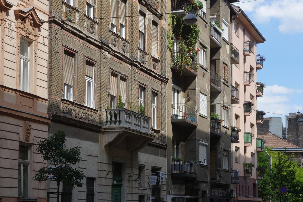 Vivid Rozsa Budapest