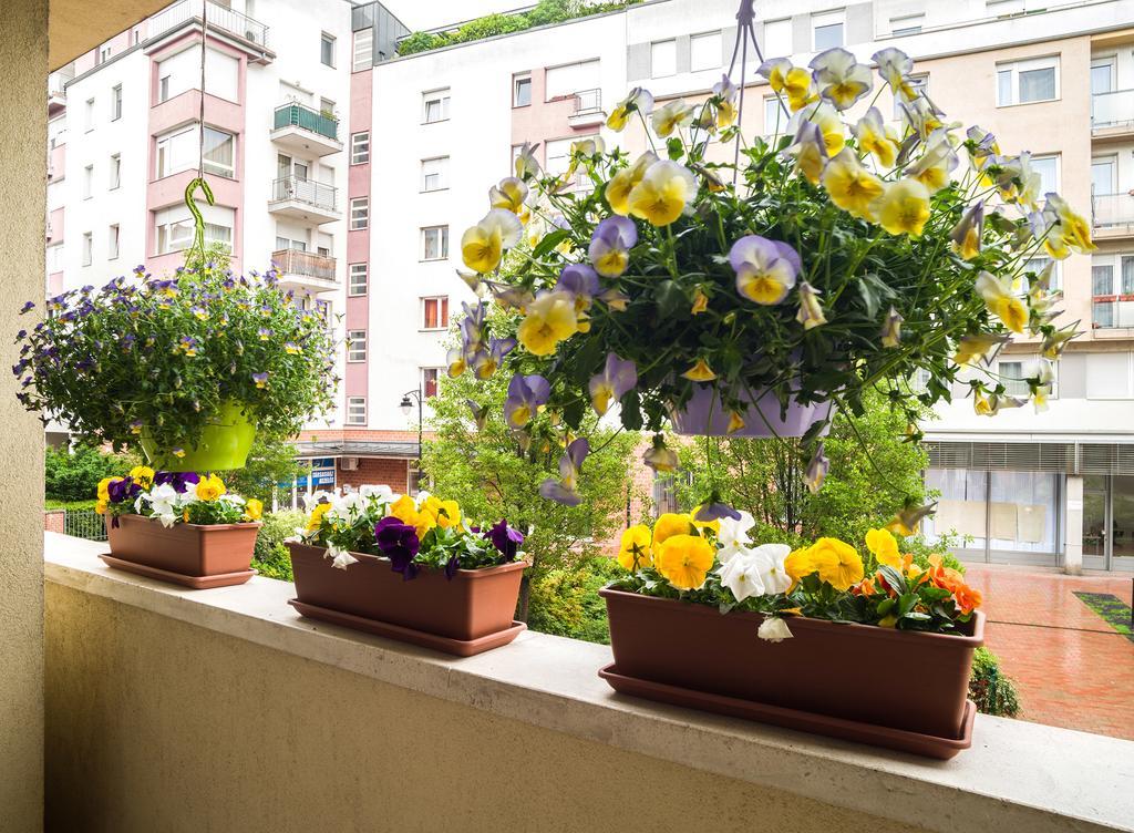 Lovely Corvin Apartment