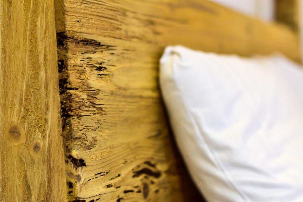 The Iguana-wooden Apartamento *