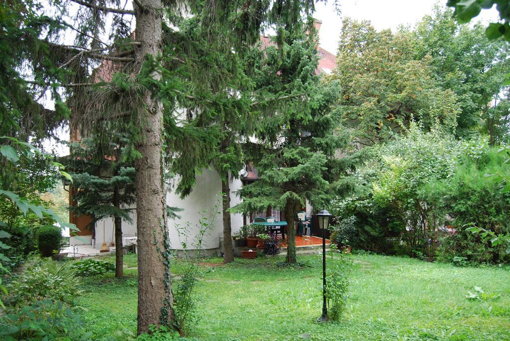 Mohacsi Budapest