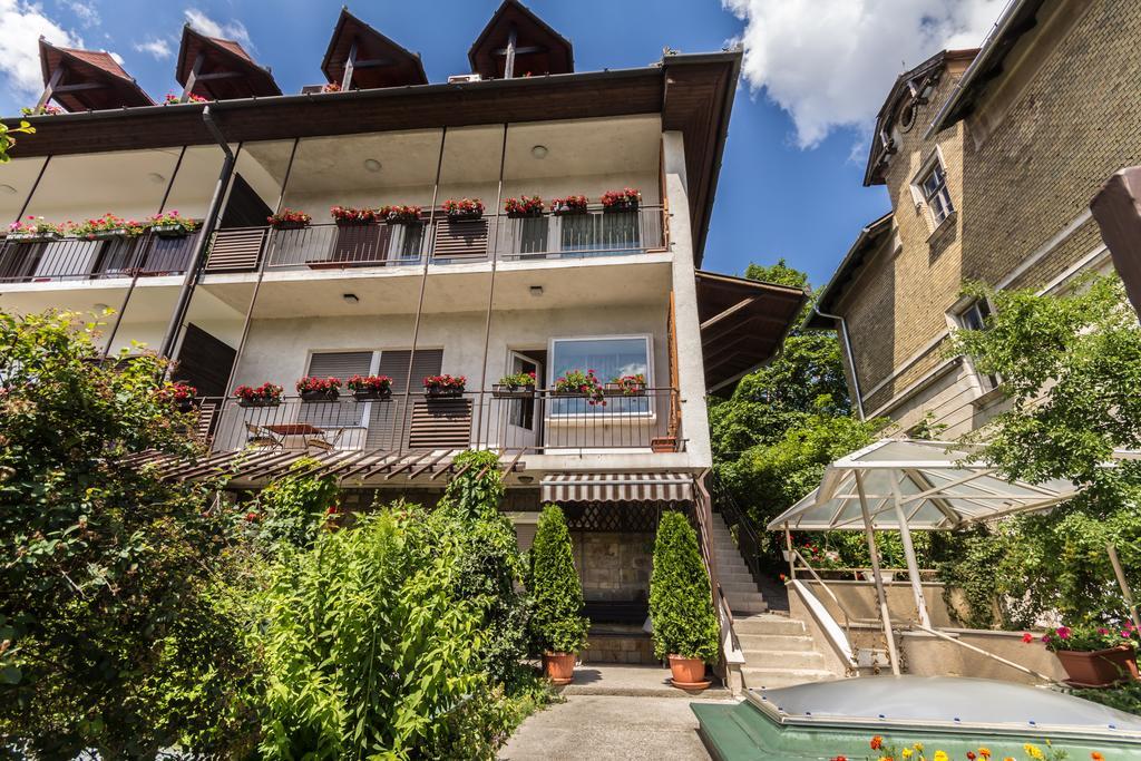 Guest house Mohacsi 3*