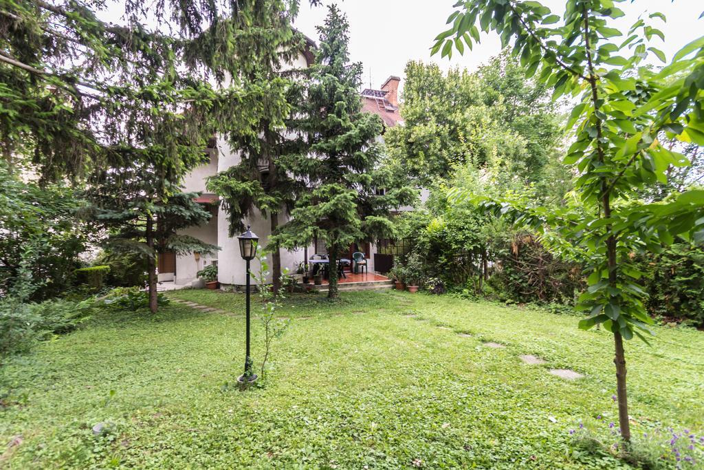 Mohacsi Budapest