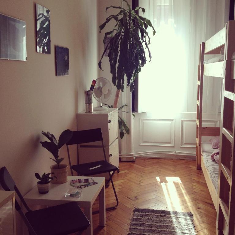 Activity Ostello Budapest