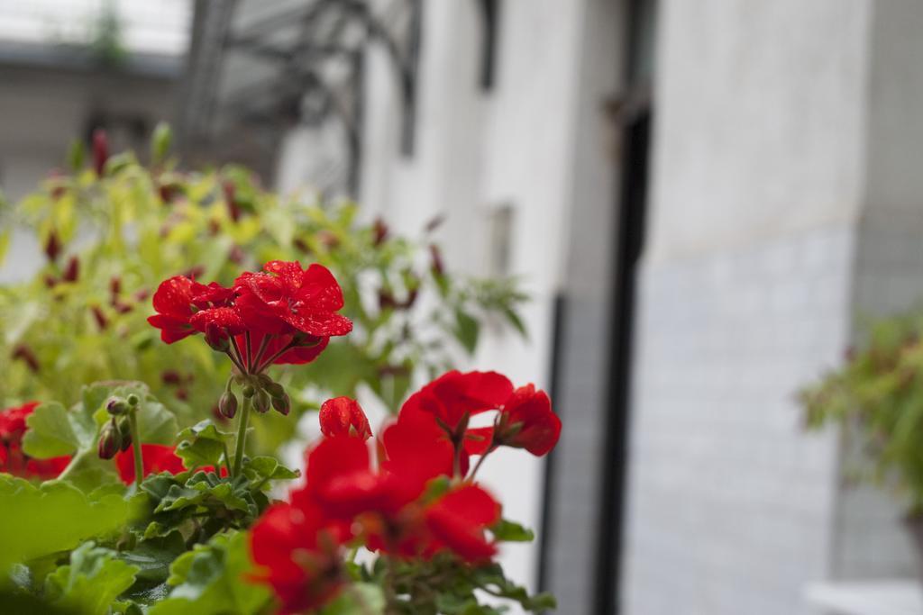 Apartament Ariel Close To St. Stephen Basilica *