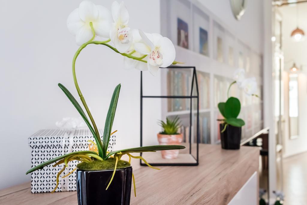 Bpr Purehome * Budapeszt