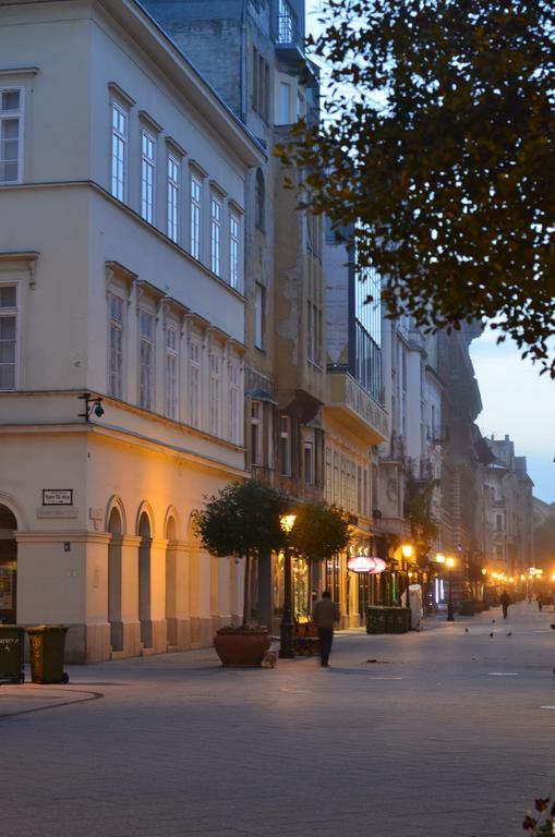 Vaci Street Downtown Budapest